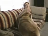 Zoo XXX - Hairy dog for a hairless cookie